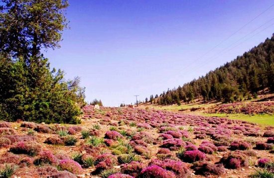 prospect-point-ziarat