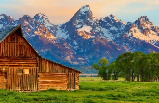 Grand Teton & Yellowstone Explorer