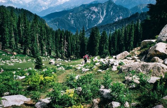 Kumrat-Valley-Green