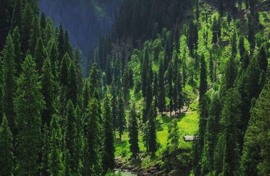 Neelum Valley